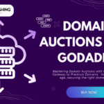 Domain Auctions with GoDaddy
